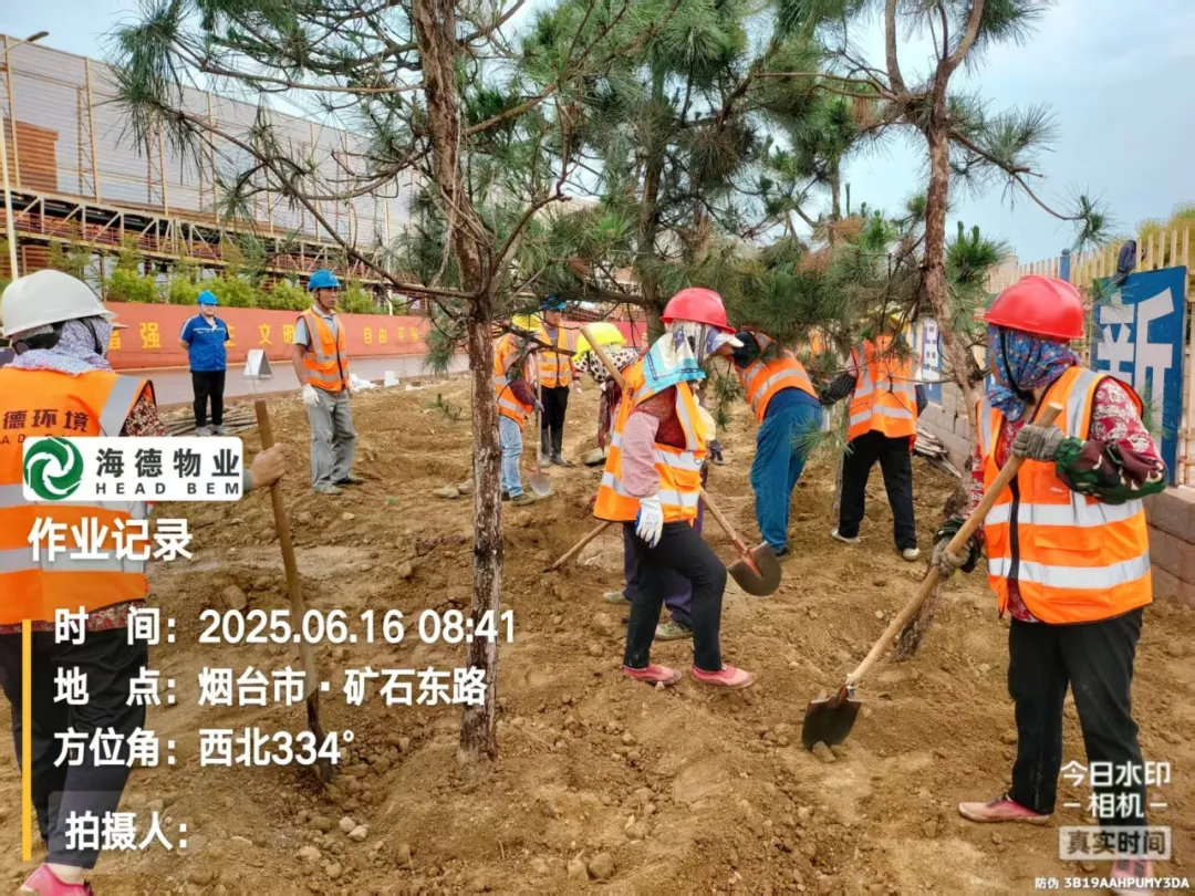 海德物業(yè)丨晝夜兼程繪綠意 風(fēng)雨無阻寫擔(dān)當(dāng)